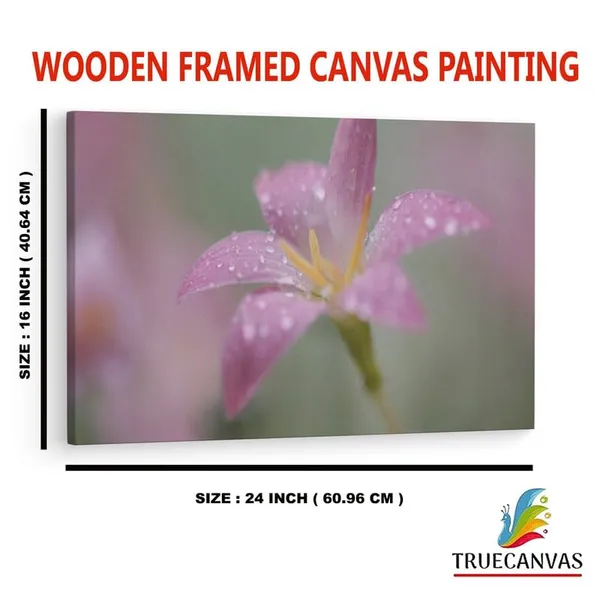 Multicolor_16_X_24_Inch,_Pine_Wood_Framed_Canvas_Paintings_|_For_Home_Decor,_Ready_To_Wall_Hanging,_Premium_Painting_|_For_|_Bedroom,_Living_Room,_Office_Wall_Decoration_|_Wall_Art_Painting,_Ct2490
