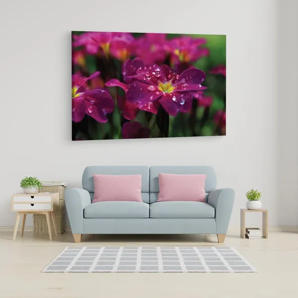 Multicolor_16_X_24_Inch,_Pine_Wood_Framed_Canvas_Paintings_|_For_Home_Decor,_Ready_To_Wall_Hanging,_Premium_Painting_|_For_|_Bedroom,_Living_Room,_Office_Wall_Decoration_|_Wall_Art_Painting,_Ct2491