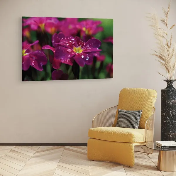 Multicolor_16_X_24_Inch,_Pine_Wood_Framed_Canvas_Paintings_|_For_Home_Decor,_Ready_To_Wall_Hanging,_Premium_Painting_|_For_|_Bedroom,_Living_Room,_Office_Wall_Decoration_|_Wall_Art_Painting,_Ct2491