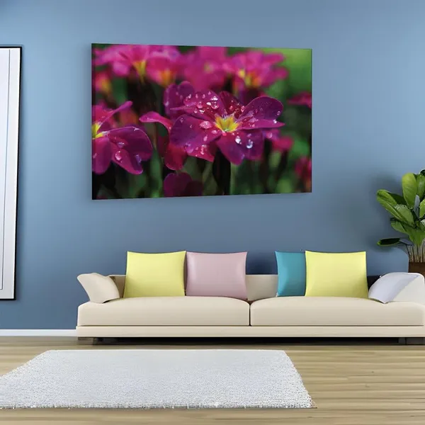 Multicolor_16_X_24_Inch,_Pine_Wood_Framed_Canvas_Paintings_|_For_Home_Decor,_Ready_To_Wall_Hanging,_Premium_Painting_|_For_|_Bedroom,_Living_Room,_Office_Wall_Decoration_|_Wall_Art_Painting,_Ct2491