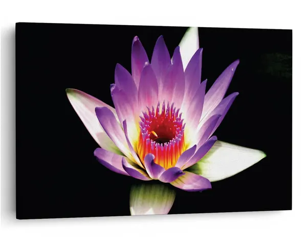 Multicolor_16_X_24_Inch,_Pine_Wood_Framed_Canvas_Paintings_|_For_Home_Decor,_Ready_To_Wall_Hanging,_Premium_Painting_|_For_|_Bedroom,_Living_Room,_Office_Wall_Decoration_|_Wall_Art_Painting,_Ct2494