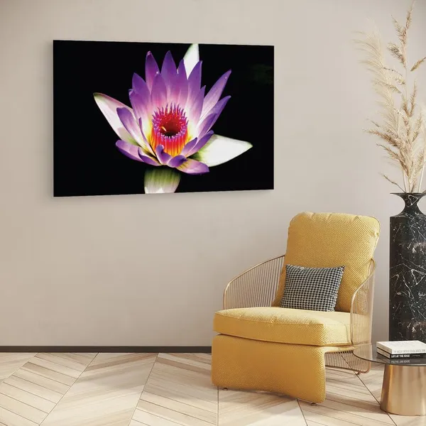 Multicolor_16_X_24_Inch,_Pine_Wood_Framed_Canvas_Paintings_|_For_Home_Decor,_Ready_To_Wall_Hanging,_Premium_Painting_|_For_|_Bedroom,_Living_Room,_Office_Wall_Decoration_|_Wall_Art_Painting,_Ct2494