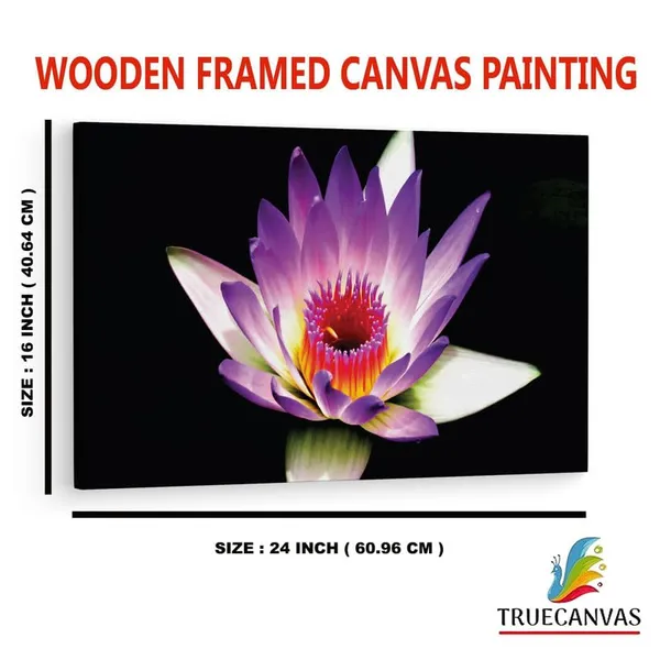 Multicolor_16_X_24_Inch,_Pine_Wood_Framed_Canvas_Paintings_|_For_Home_Decor,_Ready_To_Wall_Hanging,_Premium_Painting_|_For_|_Bedroom,_Living_Room,_Office_Wall_Decoration_|_Wall_Art_Painting,_Ct2494
