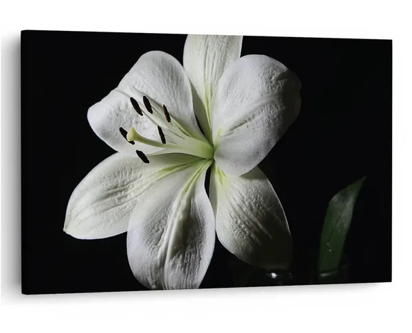 Multicolor_16_X_24_Inch,_Pine_Wood_Framed_Canvas_Paintings_|_For_Home_Decor,_Ready_To_Wall_Hanging,_Premium_Painting_|_For_|_Bedroom,_Living_Room,_Office_Wall_Decoration_|_Wall_Art_Painting,_Ct2495