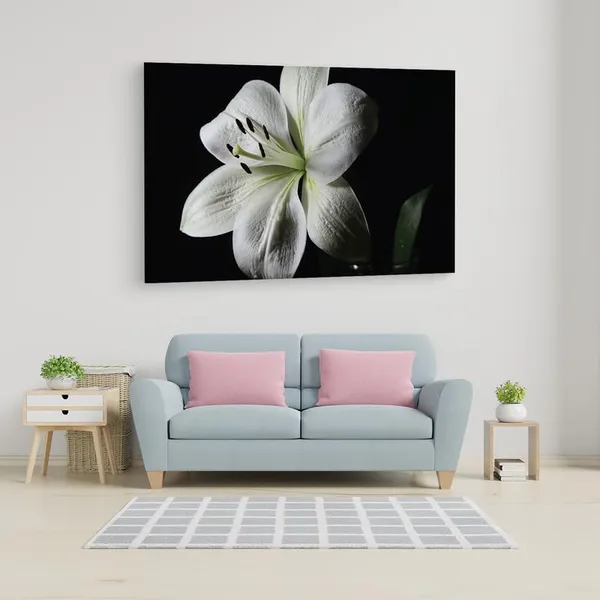 Multicolor_16_X_24_Inch,_Pine_Wood_Framed_Canvas_Paintings_|_For_Home_Decor,_Ready_To_Wall_Hanging,_Premium_Painting_|_For_|_Bedroom,_Living_Room,_Office_Wall_Decoration_|_Wall_Art_Painting,_Ct2495