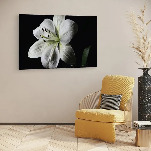 Multicolor_16_X_24_Inch,_Pine_Wood_Framed_Canvas_Paintings_|_For_Home_Decor,_Ready_To_Wall_Hanging,_Premium_Painting_|_For_|_Bedroom,_Living_Room,_Office_Wall_Decoration_|_Wall_Art_Painting,_Ct2495