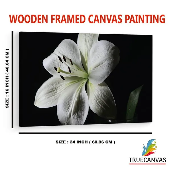 Multicolor_16_X_24_Inch,_Pine_Wood_Framed_Canvas_Paintings_|_For_Home_Decor,_Ready_To_Wall_Hanging,_Premium_Painting_|_For_|_Bedroom,_Living_Room,_Office_Wall_Decoration_|_Wall_Art_Painting,_Ct2495