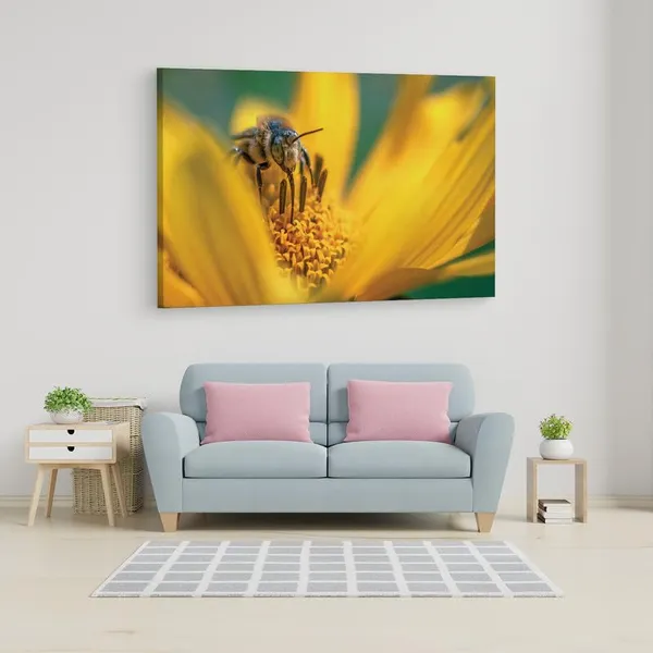 Multicolor_16_X_24_Inch,_Pine_Wood_Framed_Canvas_Paintings_|_For_Home_Decor,_Ready_To_Wall_Hanging,_Premium_Painting_|_For_|_Bedroom,_Living_Room,_Office_Wall_Decoration_|_Wall_Art_Painting,_Ct2496