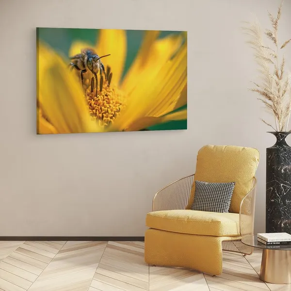 Multicolor_16_X_24_Inch,_Pine_Wood_Framed_Canvas_Paintings_|_For_Home_Decor,_Ready_To_Wall_Hanging,_Premium_Painting_|_For_|_Bedroom,_Living_Room,_Office_Wall_Decoration_|_Wall_Art_Painting,_Ct2496