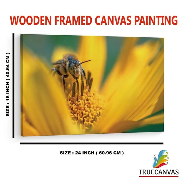 Multicolor_16_X_24_Inch,_Pine_Wood_Framed_Canvas_Paintings_|_For_Home_Decor,_Ready_To_Wall_Hanging,_Premium_Painting_|_For_|_Bedroom,_Living_Room,_Office_Wall_Decoration_|_Wall_Art_Painting,_Ct2496