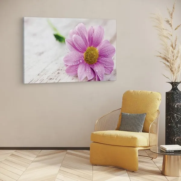Multicolor_16_X_24_Inch,_Pine_Wood_Framed_Canvas_Paintings_|_For_Home_Decor,_Ready_To_Wall_Hanging,_Premium_Painting_|_For_|_Bedroom,_Living_Room,_Office_Wall_Decoration_|_Wall_Art_Painting,_Ct2497