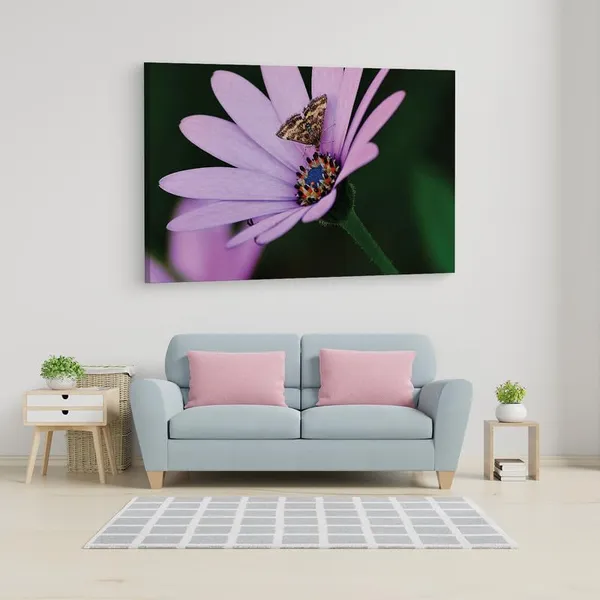 Multicolor_16_X_24_Inch,_Pine_Wood_Framed_Canvas_Paintings_|_For_Home_Decor,_Ready_To_Wall_Hanging,_Premium_Painting_|_For_|_Bedroom,_Living_Room,_Office_Wall_Decoration_|_Wall_Art_Painting,_Ct2499