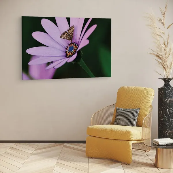 Multicolor_16_X_24_Inch,_Pine_Wood_Framed_Canvas_Paintings_|_For_Home_Decor,_Ready_To_Wall_Hanging,_Premium_Painting_|_For_|_Bedroom,_Living_Room,_Office_Wall_Decoration_|_Wall_Art_Painting,_Ct2499
