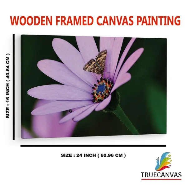 Multicolor_16_X_24_Inch,_Pine_Wood_Framed_Canvas_Paintings_|_For_Home_Decor,_Ready_To_Wall_Hanging,_Premium_Painting_|_For_|_Bedroom,_Living_Room,_Office_Wall_Decoration_|_Wall_Art_Painting,_Ct2499