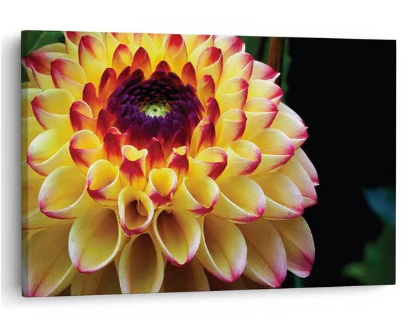 Multicolor_16_X_24_Inch,_Pine_Wood_Framed_Canvas_Paintings_|_For_Home_Decor,_Ready_To_Wall_Hanging,_Premium_Painting_|_For_|_Bedroom,_Living_Room,_Office_Wall_Decoration_|_Wall_Art_Painting,_Ct2501