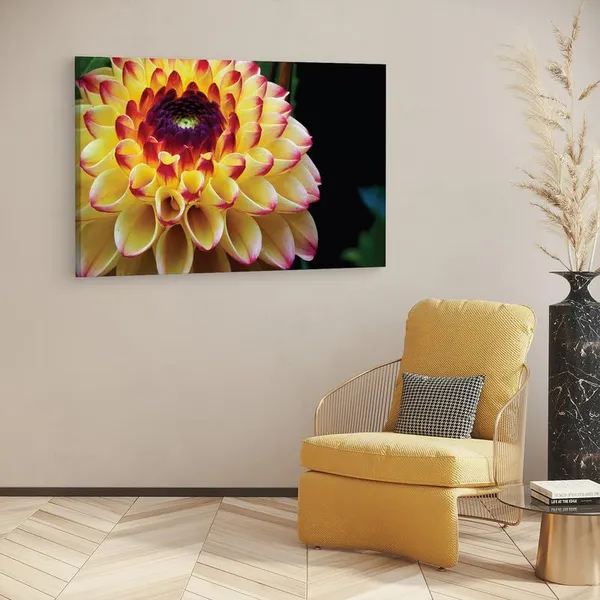 Multicolor_16_X_24_Inch,_Pine_Wood_Framed_Canvas_Paintings_|_For_Home_Decor,_Ready_To_Wall_Hanging,_Premium_Painting_|_For_|_Bedroom,_Living_Room,_Office_Wall_Decoration_|_Wall_Art_Painting,_Ct2501