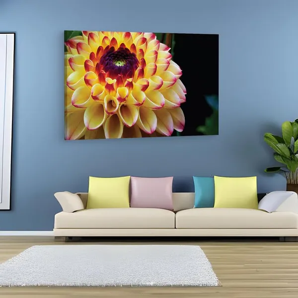 Multicolor_16_X_24_Inch,_Pine_Wood_Framed_Canvas_Paintings_|_For_Home_Decor,_Ready_To_Wall_Hanging,_Premium_Painting_|_For_|_Bedroom,_Living_Room,_Office_Wall_Decoration_|_Wall_Art_Painting,_Ct2501