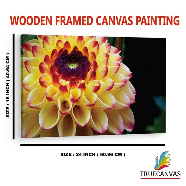 Multicolor_16_X_24_Inch,_Pine_Wood_Framed_Canvas_Paintings_|_For_Home_Decor,_Ready_To_Wall_Hanging,_Premium_Painting_|_For_|_Bedroom,_Living_Room,_Office_Wall_Decoration_|_Wall_Art_Painting,_Ct2501