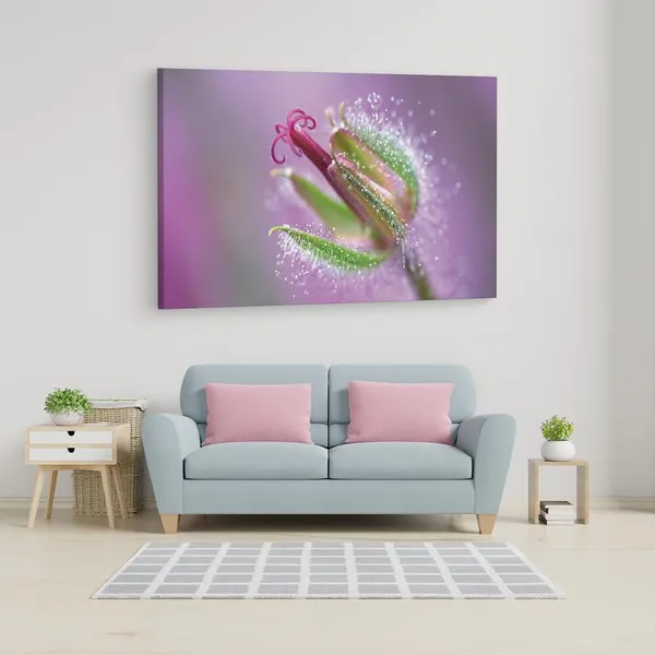 Multicolor_16_X_24_Inch,_Pine_Wood_Framed_Canvas_Paintings_|_For_Home_Decor,_Ready_To_Wall_Hanging,_Premium_Painting_|_For_|_Bedroom,_Living_Room,_Office_Wall_Decoration_|_Wall_Art_Painting,_Ct2502
