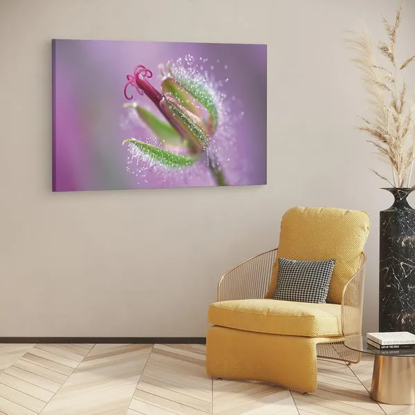 Multicolor_16_X_24_Inch,_Pine_Wood_Framed_Canvas_Paintings_|_For_Home_Decor,_Ready_To_Wall_Hanging,_Premium_Painting_|_For_|_Bedroom,_Living_Room,_Office_Wall_Decoration_|_Wall_Art_Painting,_Ct2502