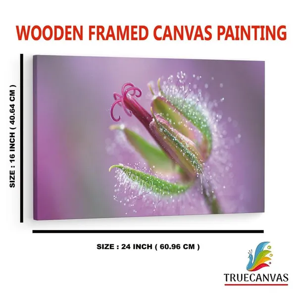 Multicolor_16_X_24_Inch,_Pine_Wood_Framed_Canvas_Paintings_|_For_Home_Decor,_Ready_To_Wall_Hanging,_Premium_Painting_|_For_|_Bedroom,_Living_Room,_Office_Wall_Decoration_|_Wall_Art_Painting,_Ct2502