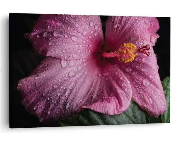 Multicolor_16_X_24_Inch,_Pine_Wood_Framed_Canvas_Paintings_|_For_Home_Decor,_Ready_To_Wall_Hanging,_Premium_Painting_|_For_|_Bedroom,_Living_Room,_Office_Wall_Decoration_|_Wall_Art_Painting,_Ct2503