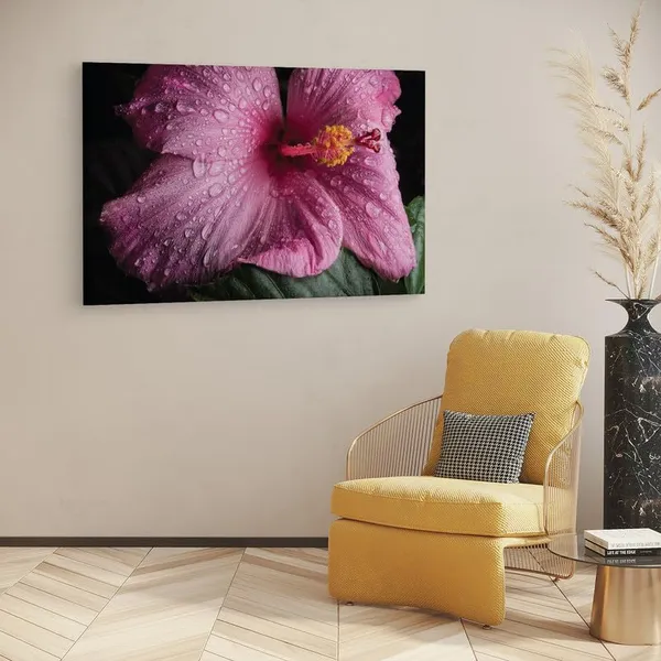 Multicolor_16_X_24_Inch,_Pine_Wood_Framed_Canvas_Paintings_|_For_Home_Decor,_Ready_To_Wall_Hanging,_Premium_Painting_|_For_|_Bedroom,_Living_Room,_Office_Wall_Decoration_|_Wall_Art_Painting,_Ct2503