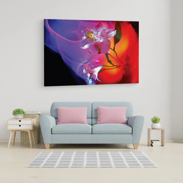 Multicolor_16_X_24_Inch,_Pine_Wood_Framed_Canvas_Paintings_|_For_Home_Decor,_Ready_To_Wall_Hanging,_Premium_Painting_|_For_|_Bedroom,_Living_Room,_Office_Wall_Decoration_|_Wall_Art_Painting,_Ct2504
