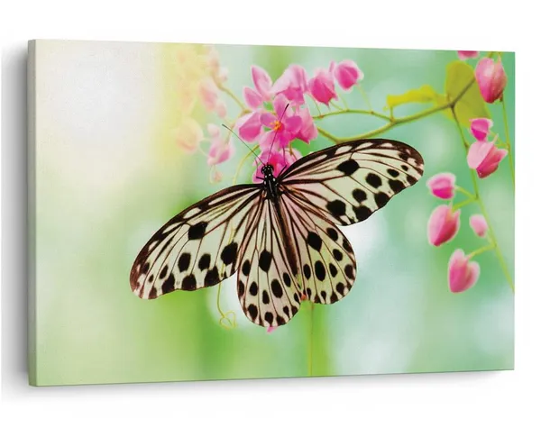 Multicolor_16_X_24_Inch,_Pine_Wood_Framed_Canvas_Paintings_|_For_Home_Decor,_Ready_To_Wall_Hanging,_Premium_Painting_|_For_|_Bedroom,_Living_Room,_Office_Wall_Decoration_|_Wall_Art_Painting,_Ct2505