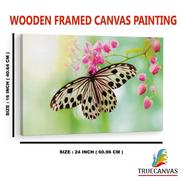 Multicolor_16_X_24_Inch,_Pine_Wood_Framed_Canvas_Paintings_|_For_Home_Decor,_Ready_To_Wall_Hanging,_Premium_Painting_|_For_|_Bedroom,_Living_Room,_Office_Wall_Decoration_|_Wall_Art_Painting,_Ct2505