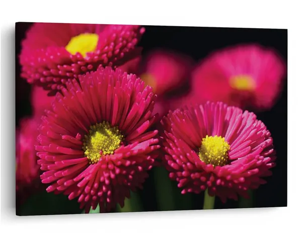 Multicolor_16_X_24_Inch,_Pine_Wood_Framed_Canvas_Paintings_|_For_Home_Decor,_Ready_To_Wall_Hanging,_Premium_Painting_|_For_|_Bedroom,_Living_Room,_Office_Wall_Decoration_|_Wall_Art_Painting,_Ct2506