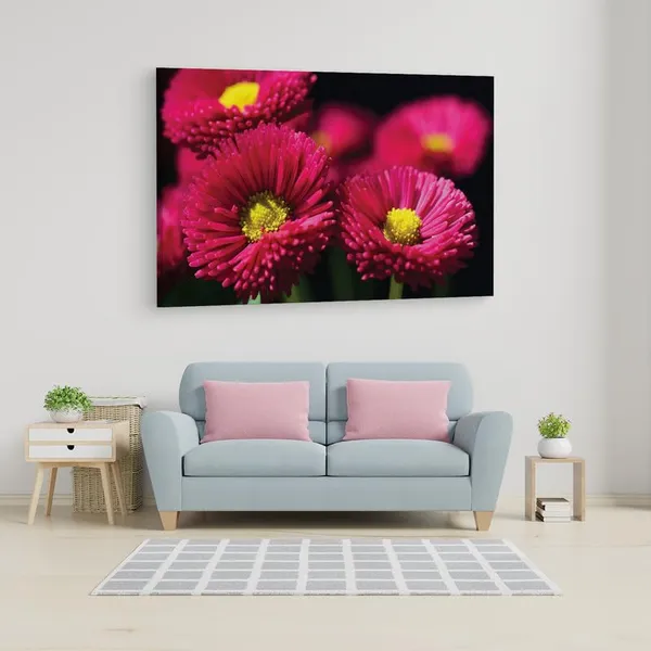 Multicolor_16_X_24_Inch,_Pine_Wood_Framed_Canvas_Paintings_|_For_Home_Decor,_Ready_To_Wall_Hanging,_Premium_Painting_|_For_|_Bedroom,_Living_Room,_Office_Wall_Decoration_|_Wall_Art_Painting,_Ct2506