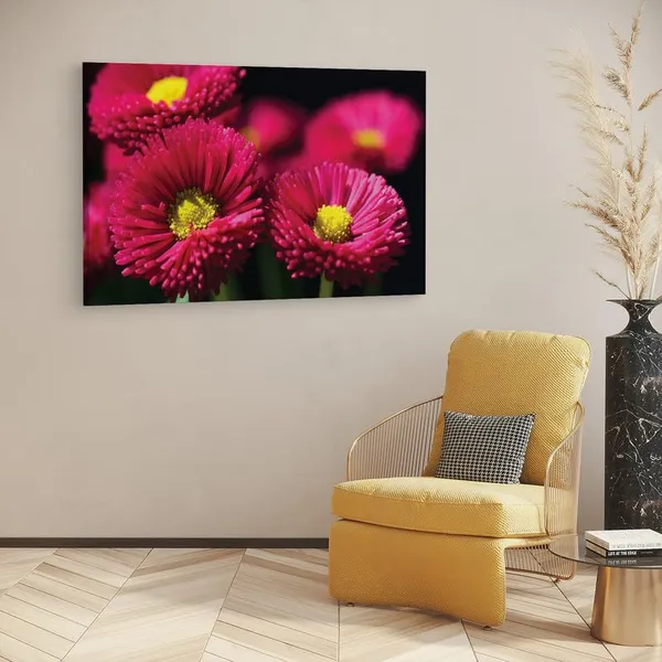 Multicolor_16_X_24_Inch,_Pine_Wood_Framed_Canvas_Paintings_|_For_Home_Decor,_Ready_To_Wall_Hanging,_Premium_Painting_|_For_|_Bedroom,_Living_Room,_Office_Wall_Decoration_|_Wall_Art_Painting,_Ct2506