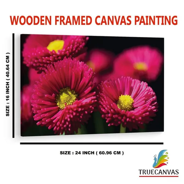 Multicolor_16_X_24_Inch,_Pine_Wood_Framed_Canvas_Paintings_|_For_Home_Decor,_Ready_To_Wall_Hanging,_Premium_Painting_|_For_|_Bedroom,_Living_Room,_Office_Wall_Decoration_|_Wall_Art_Painting,_Ct2506