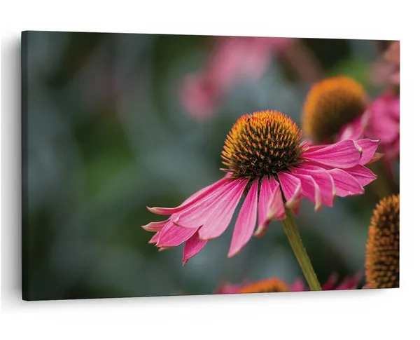 Multicolor_16_X_24_Inch,_Pine_Wood_Framed_Canvas_Paintings_|_For_Home_Decor,_Ready_To_Wall_Hanging,_Premium_Painting_|_For_|_Bedroom,_Living_Room,_Office_Wall_Decoration_|_Wall_Art_Painting,_Ct2507