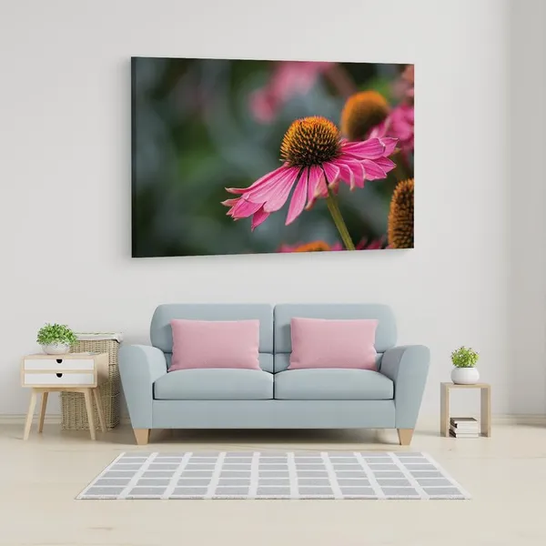 Multicolor_16_X_24_Inch,_Pine_Wood_Framed_Canvas_Paintings_|_For_Home_Decor,_Ready_To_Wall_Hanging,_Premium_Painting_|_For_|_Bedroom,_Living_Room,_Office_Wall_Decoration_|_Wall_Art_Painting,_Ct2507