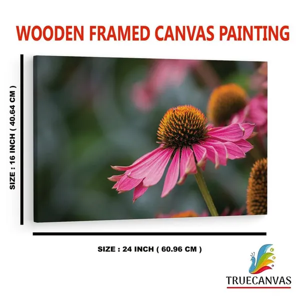 Multicolor_16_X_24_Inch,_Pine_Wood_Framed_Canvas_Paintings_|_For_Home_Decor,_Ready_To_Wall_Hanging,_Premium_Painting_|_For_|_Bedroom,_Living_Room,_Office_Wall_Decoration_|_Wall_Art_Painting,_Ct2507