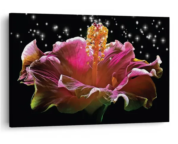 Multicolor_16_X_24_Inch,_Pine_Wood_Framed_Canvas_Paintings_|_For_Home_Decor,_Ready_To_Wall_Hanging,_Premium_Painting_|_For_|_Bedroom,_Living_Room,_Office_Wall_Decoration_|_Wall_Art_Painting,_Ct2508