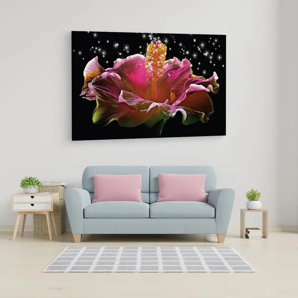 Multicolor_16_X_24_Inch,_Pine_Wood_Framed_Canvas_Paintings_|_For_Home_Decor,_Ready_To_Wall_Hanging,_Premium_Painting_|_For_|_Bedroom,_Living_Room,_Office_Wall_Decoration_|_Wall_Art_Painting,_Ct2508