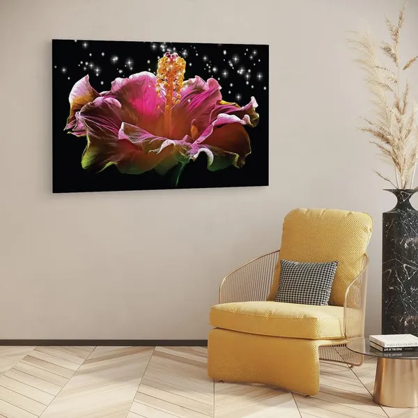 Multicolor_16_X_24_Inch,_Pine_Wood_Framed_Canvas_Paintings_|_For_Home_Decor,_Ready_To_Wall_Hanging,_Premium_Painting_|_For_|_Bedroom,_Living_Room,_Office_Wall_Decoration_|_Wall_Art_Painting,_Ct2508
