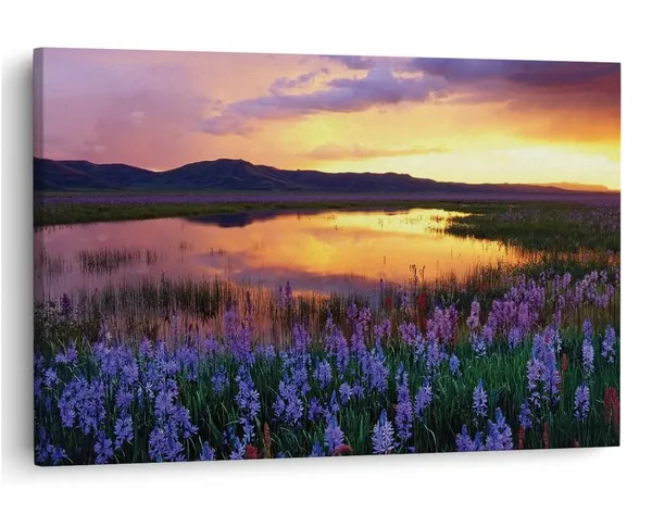 Multicolor_16_X_24_Inch,_Pine_Wood_Framed_Canvas_Paintings_|_For_Home_Decor,_Ready_To_Wall_Hanging,_Premium_Painting_|_For_|_Bedroom,_Living_Room,_Office_Wall_Decoration_|_Wall_Art_Painting,_Ct2510