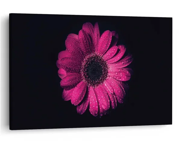 Multicolor_16_X_24_Inch,_Pine_Wood_Framed_Canvas_Paintings_|_For_Home_Decor,_Ready_To_Wall_Hanging,_Premium_Painting_|_For_|_Bedroom,_Living_Room,_Office_Wall_Decoration_|_Wall_Art_Painting,_Ct2512