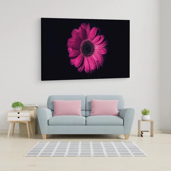 Multicolor_16_X_24_Inch,_Pine_Wood_Framed_Canvas_Paintings_|_For_Home_Decor,_Ready_To_Wall_Hanging,_Premium_Painting_|_For_|_Bedroom,_Living_Room,_Office_Wall_Decoration_|_Wall_Art_Painting,_Ct2512