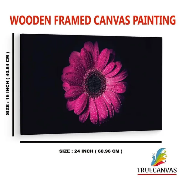 Multicolor_16_X_24_Inch,_Pine_Wood_Framed_Canvas_Paintings_|_For_Home_Decor,_Ready_To_Wall_Hanging,_Premium_Painting_|_For_|_Bedroom,_Living_Room,_Office_Wall_Decoration_|_Wall_Art_Painting,_Ct2512