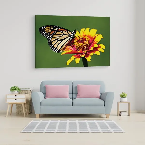 Multicolor_16_X_24_Inch,_Pine_Wood_Framed_Canvas_Paintings_|_For_Home_Decor,_Ready_To_Wall_Hanging,_Premium_Painting_|_For_|_Bedroom,_Living_Room,_Office_Wall_Decoration_|_Wall_Art_Painting,_Ct2513