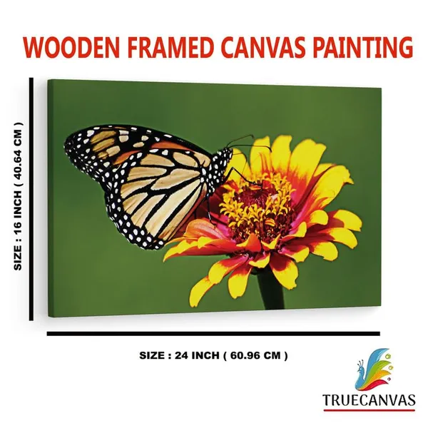 Multicolor_16_X_24_Inch,_Pine_Wood_Framed_Canvas_Paintings_|_For_Home_Decor,_Ready_To_Wall_Hanging,_Premium_Painting_|_For_|_Bedroom,_Living_Room,_Office_Wall_Decoration_|_Wall_Art_Painting,_Ct2513