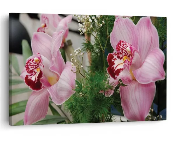Multicolor_16_X_24_Inch,_Pine_Wood_Framed_Canvas_Paintings_|_For_Home_Decor,_Ready_To_Wall_Hanging,_Premium_Painting_|_For_|_Bedroom,_Living_Room,_Office_Wall_Decoration_|_Wall_Art_Painting,_Ct2514