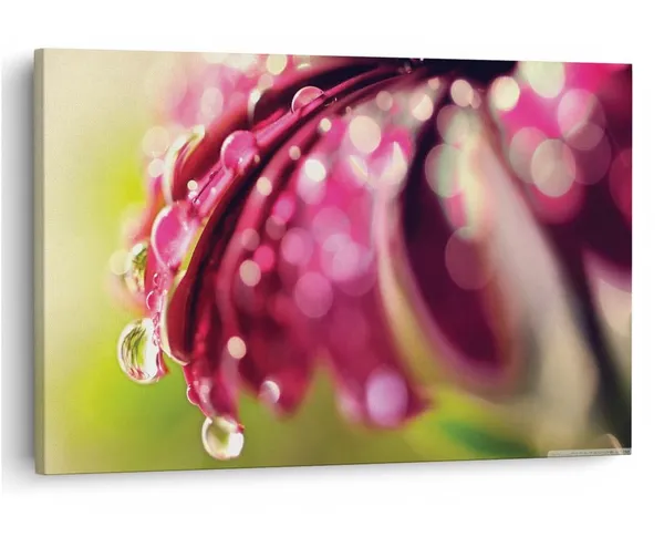 Multicolor_16_X_24_Inch,_Pine_Wood_Framed_Canvas_Paintings_|_For_Home_Decor,_Ready_To_Wall_Hanging,_Premium_Painting_|_For_|_Bedroom,_Living_Room,_Office_Wall_Decoration_|_Wall_Art_Painting,_Ct2515