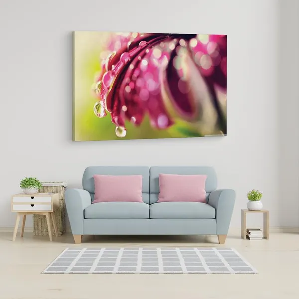 Multicolor_16_X_24_Inch,_Pine_Wood_Framed_Canvas_Paintings_|_For_Home_Decor,_Ready_To_Wall_Hanging,_Premium_Painting_|_For_|_Bedroom,_Living_Room,_Office_Wall_Decoration_|_Wall_Art_Painting,_Ct2515