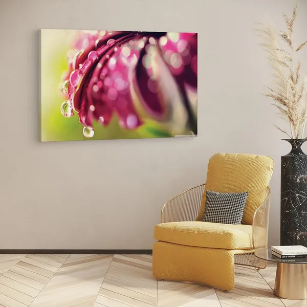 Multicolor_16_X_24_Inch,_Pine_Wood_Framed_Canvas_Paintings_|_For_Home_Decor,_Ready_To_Wall_Hanging,_Premium_Painting_|_For_|_Bedroom,_Living_Room,_Office_Wall_Decoration_|_Wall_Art_Painting,_Ct2515